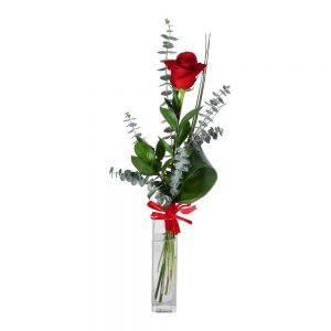 Rosa vermelha com um laço