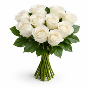 Rosas Brancas